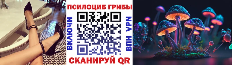 Псилоцибиновые грибы GOLDEN TEACHER  это как зайти  Дубовка 